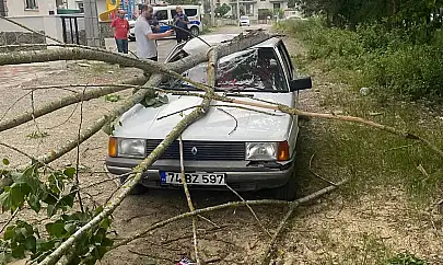 Bartın'da Fırtına ağaçları devirdi