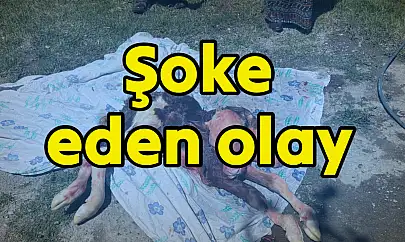 Bartın'da şoke eden doğum