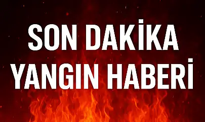 Köyde korkutan yangın