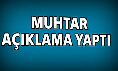 Muhtarlıktan Ağaç Kesimiyle İlgili Açıklama