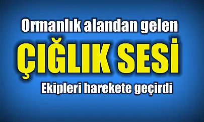 Ormandan gelen çığlık polisi alarma geçirdi