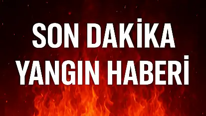 Köyde korkutan yangın