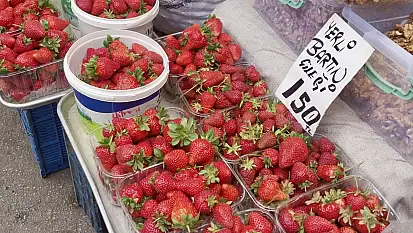 Yeni ürünlere rağbet var