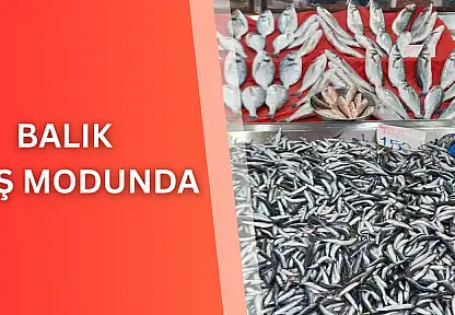 Balık kış modunda