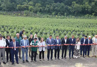 Bartın'da aromatik bitki bahçesi kuruldu