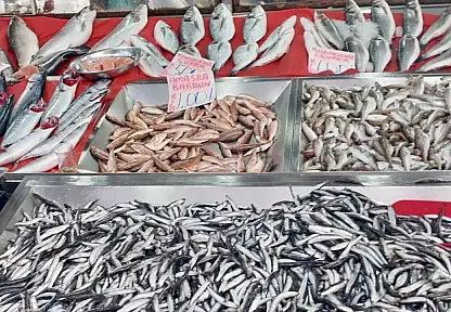 Deniz cömert, pazar sert