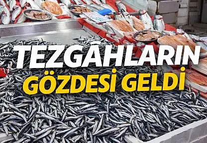 Ereğli'den geldi, tezgâh şenlendi