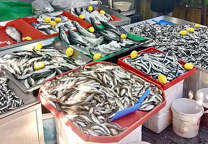 Gel vatandaş gel kampanyaya gel