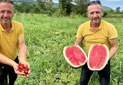 Hala şaşıran var, bunlar goçvaz karpuzu