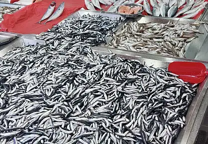 Hamsi yine fırladı