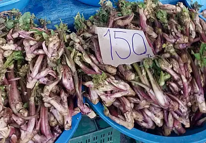 Pazarda ıspıt bolluğu