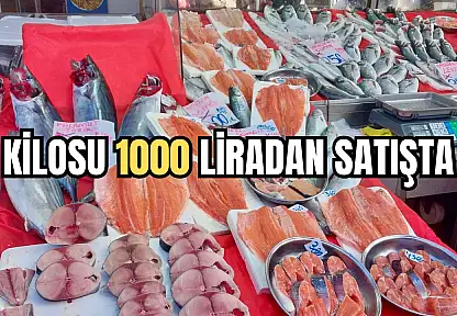 Tezgahın kralı geldi