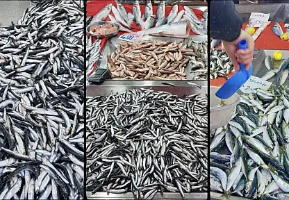 Tezgahlar tekrar şenlendi