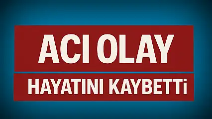 Ağaç keserken hayatını kaybetti