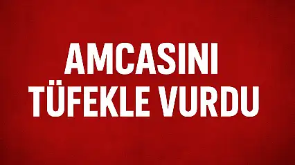 Aile içi tartışma kanlı bitti