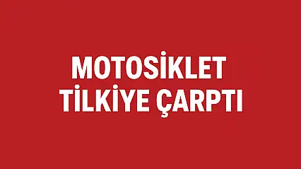 Motosiklet tilkiye çarptı