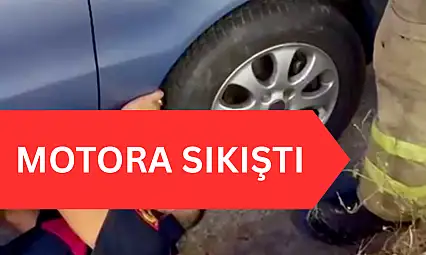 Bak şu yaramazın yaptığına