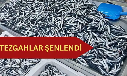 Balık bollaşıyor, fiyatı düşüyor
