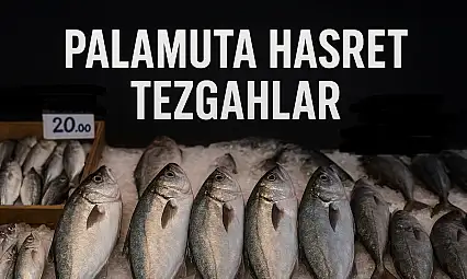 Balıkçıların gözü 'kestane karası'nda