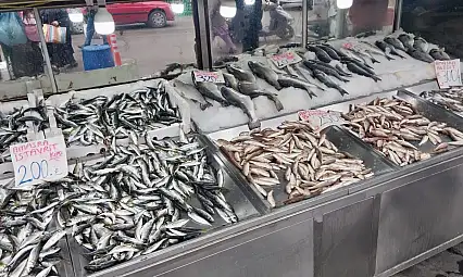 Balıksız kalmıyoruz