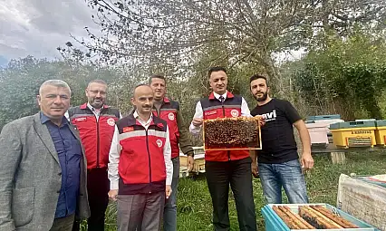 Bartın'da bal gibi üretim