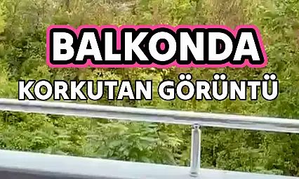 Bartın'da korkutan görüntü