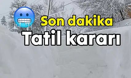 Bartın'da okullar için tatil kararı