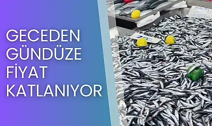 Fiyatlar denize göre değişiyor