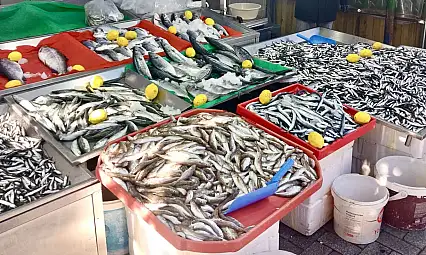 Gel vatandaş gel kampanyaya gel