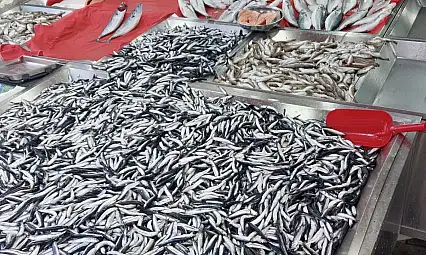 Hamsi yine fırladı