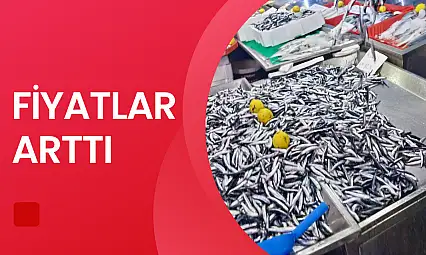 Hava bozdu, balık azaldı