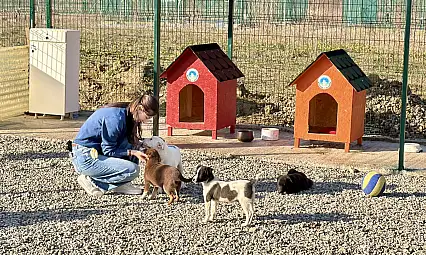 Hayvan Doğal Yaşam Alanı kuruldu