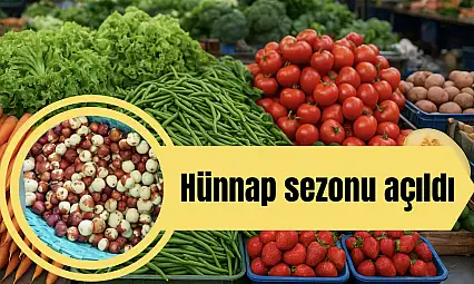 Hünnap sezonu açıldı