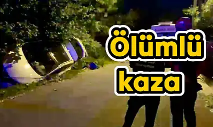 Kazada sürücü hayatını kaybetti