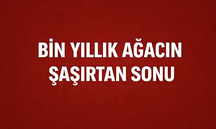 Kesildi satıldı ama yok olmadı