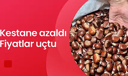 Kestane azaldı fiyatlar uçtu