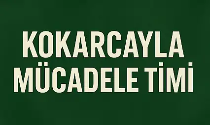 Kokarcayla mücadele timi görevde
