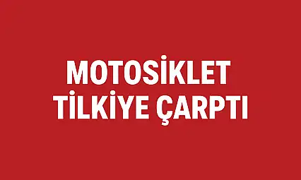 Motosiklet tilkiye çarptı