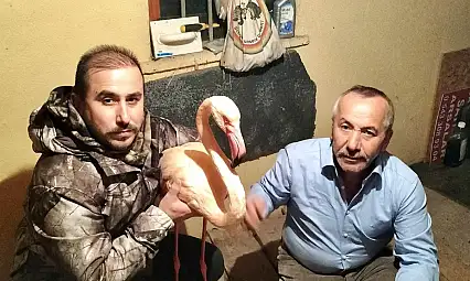 Mugada Sahilinde Bir İlk!