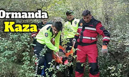 Ormanlık alanda kaza