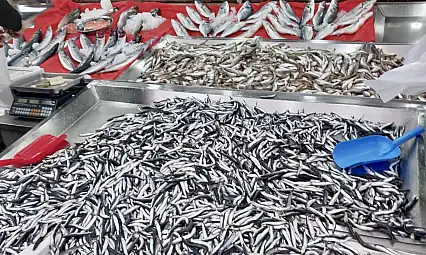 Palamut fiyatıyla fark attı