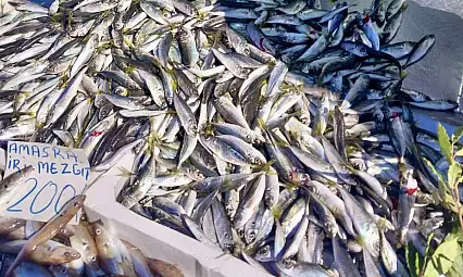 Salı pazarı ne durumda