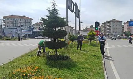 Kavşakta ilginç olay