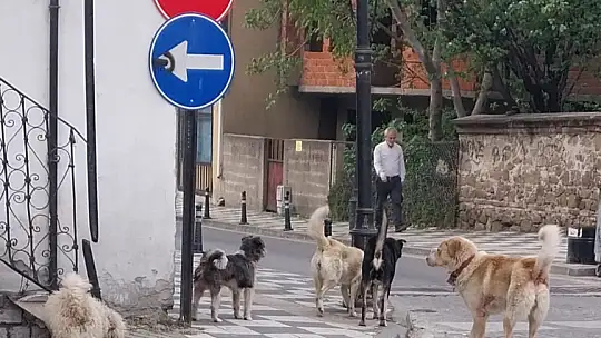 Kadın profesör saldırıya uğradı