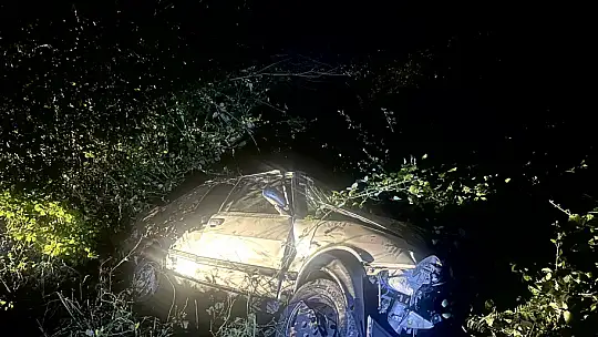 Kazada sürücü hayatını kaybetti