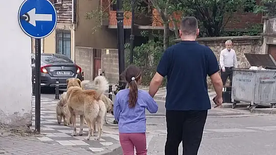 Kadın profesör saldırıya uğradı