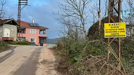 Bartın'da 12 köyde karantina