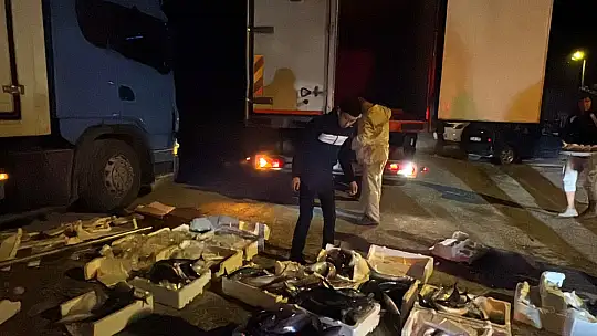 Yüzlerce kasa palamut yola saçıldı