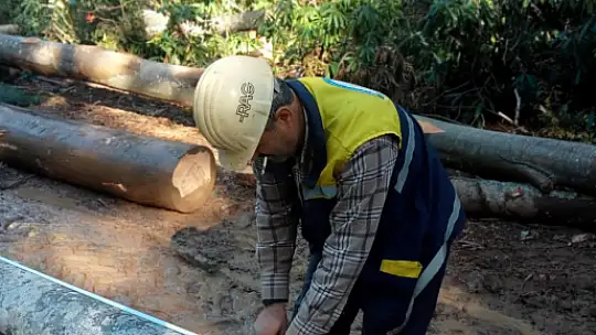 Kumluca'da orman köylüsü mağdur