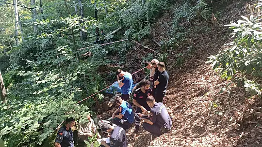 Kestiği ağacın altında kaldı